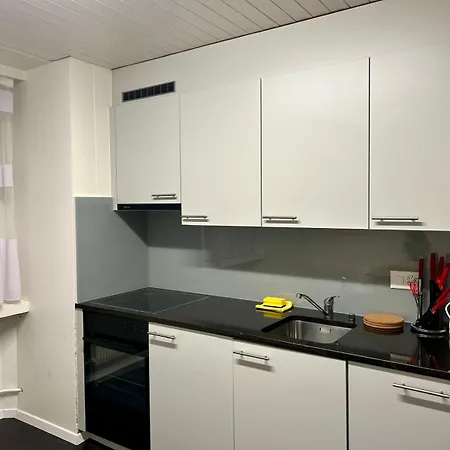 Tas24Ch Travel And Sleep 24 Apartment St. Gallen Exterior photo