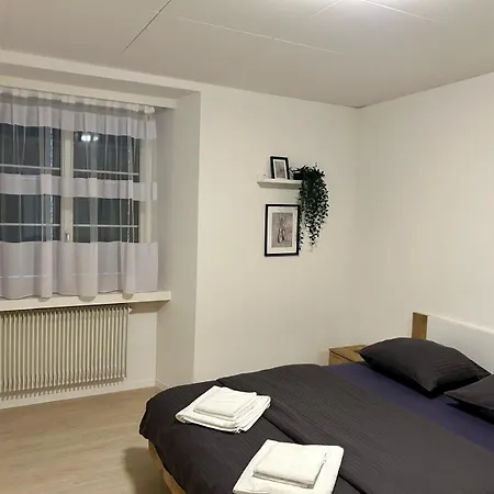 Tas24Ch Travel And Sleep 24 Apartment St. Gallen Exterior photo